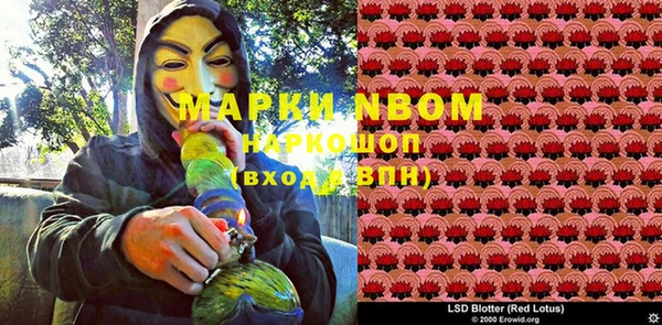 стаф Белокуриха
