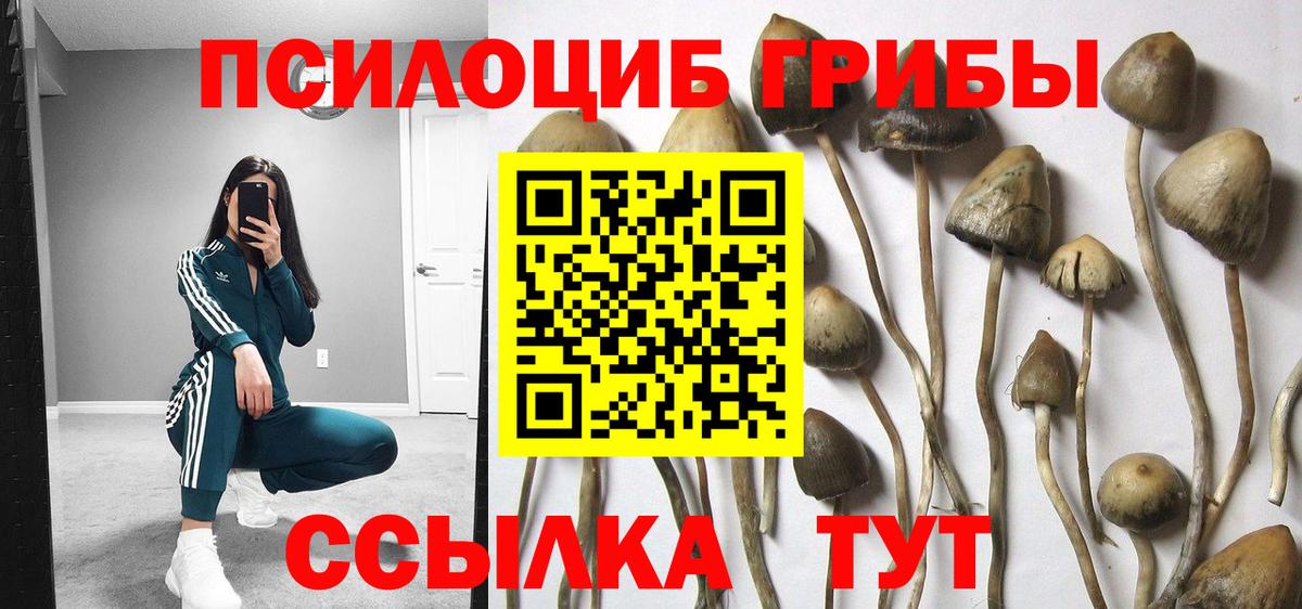 Галлюциногенные грибы Psilocybine cubensis  Вход с VPN  Лыткарино  Галлюциногенные грибы GOLDEN TEACHER 