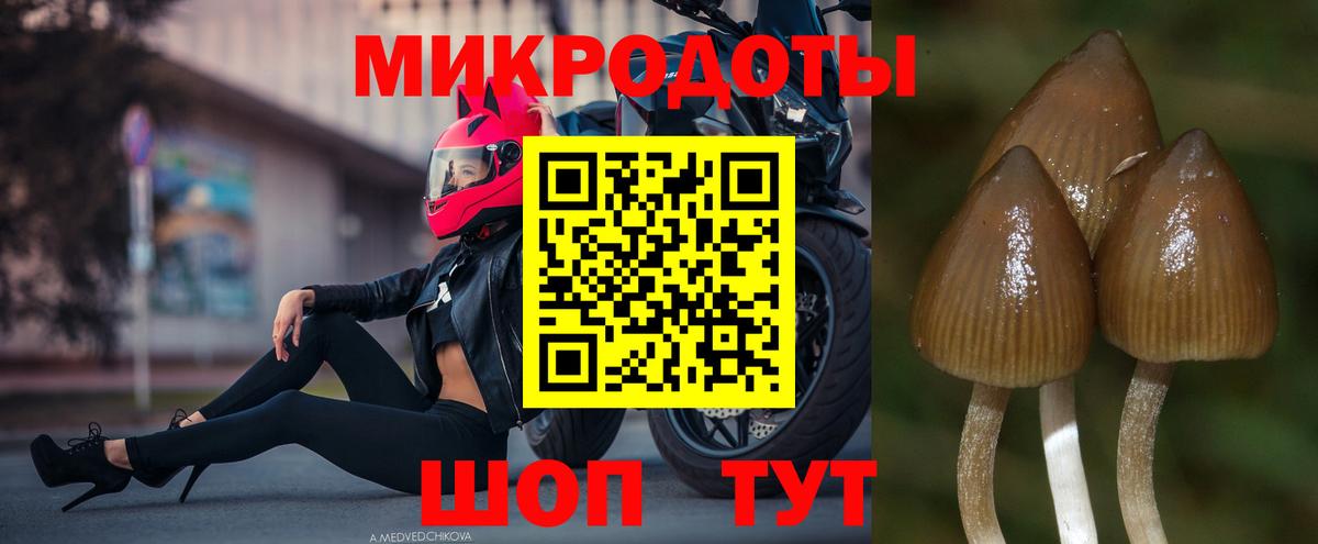 Псилоцибиновые грибы ЛСД Лыткарино