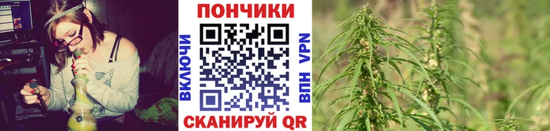 дарнет шоп  Лыткарино  Бошки Шишки AK-47 